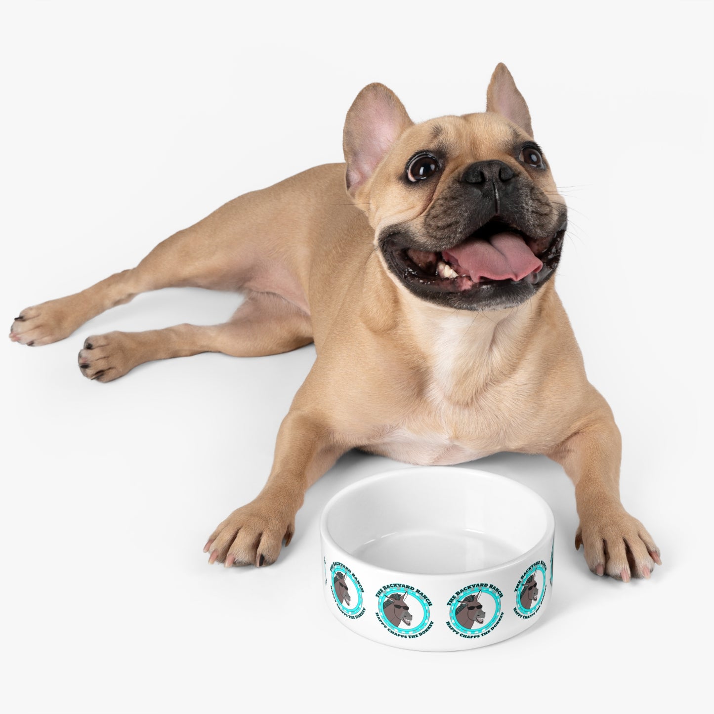 Happy Chapps The Donkey  Pet Bowl